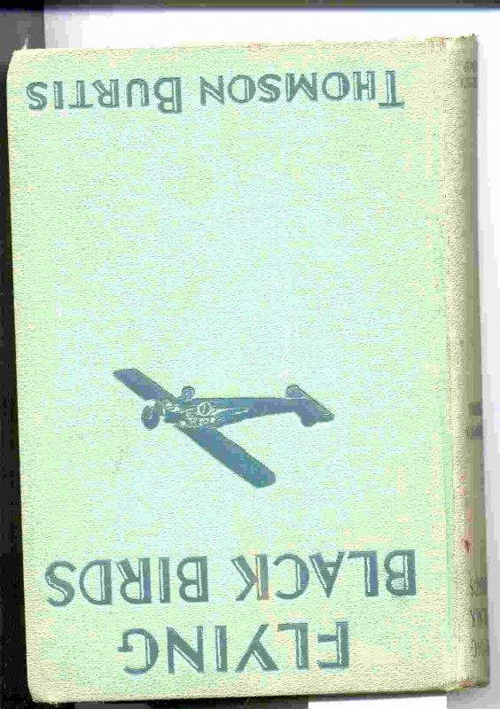 Image for FLYING BLACK BIRDS