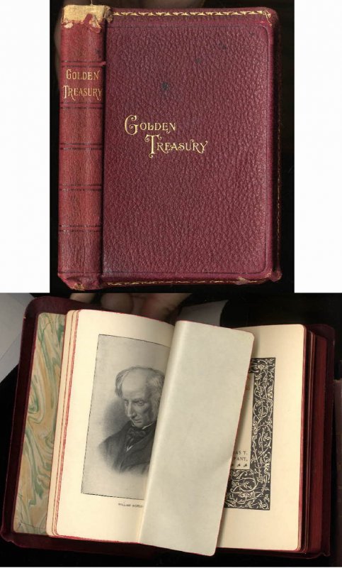 Image for The golden treasury Selected from the best songs and lyrical poems in the English language, and arranged with notes