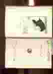 Image for LAY SERMONS