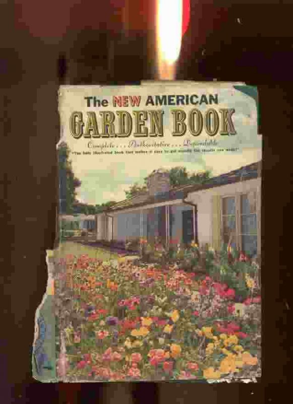 Image for THE NEW AMERICAN GARDEN BOOK