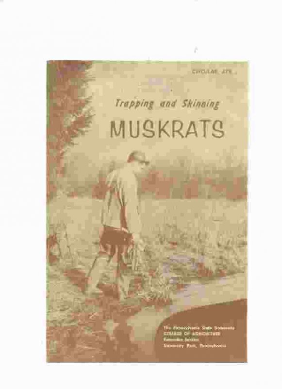 Image for TRAPPING AND SKINNING MUSKRATS CIRCULAR 478
