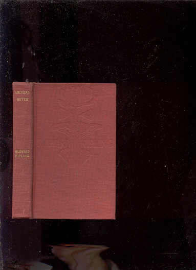 Image for AMERICAN NOTES