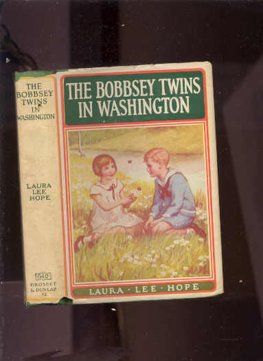 Image for BOBBSEY TWINS AT SCHOOL