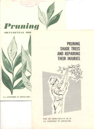 Image for PRUNING ORNAMENTAL SHRUBS AND VINES Bulletin Number 165 AND Pruning Shade Trees And Repairing Their Injuries nO 83