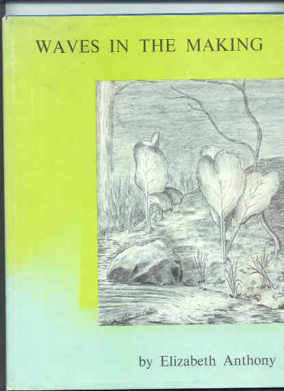 Image for WAVES IN THE MAKING Poems and Drawings