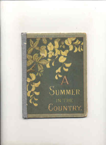 Image for A SUMMER IN THE COUNTRY.