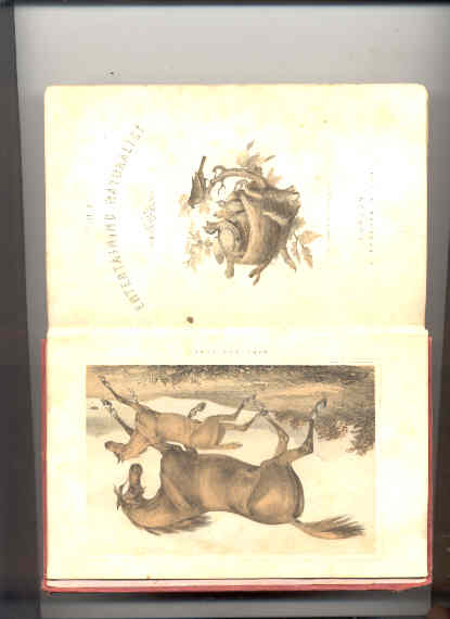 Image for TEH NEW ENTERTAINING NATURALIST BEING POPULAR DESCRITPTIONS OF QUADRUPEDS, BIRDS, FISHES, REPTILES AND INSECTS WITH ANECDOTES OF ANIMAL SAGACITY