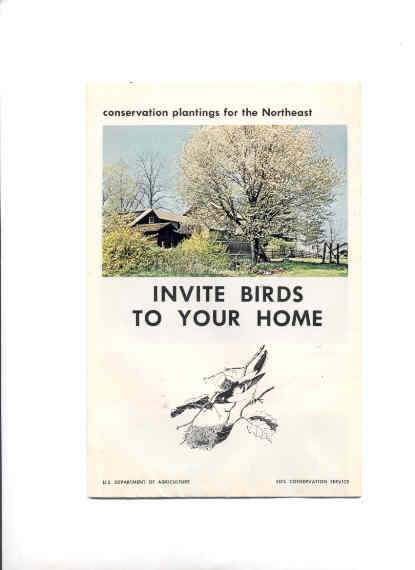 Image for INVITE BIRDS TO YOUR HOME