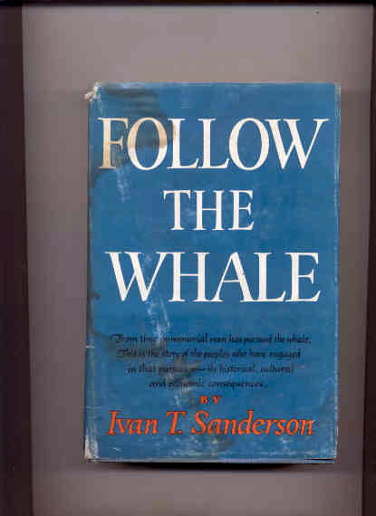 Image for FOLLOW THE WHALE