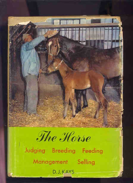 Image for THE HORSE : JUDGING, BREEDING, FEEDING, MANAGEMENT, SELLING