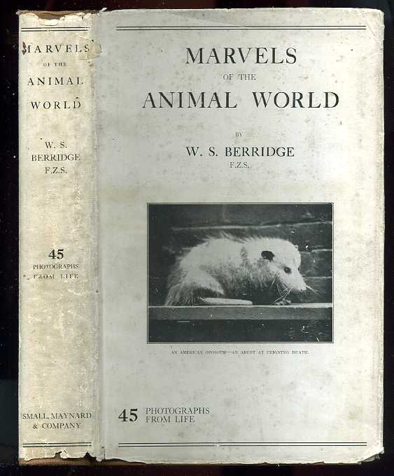 Image for MARVELS OF THE ANIMAL WORLD 45 Photographs from Life