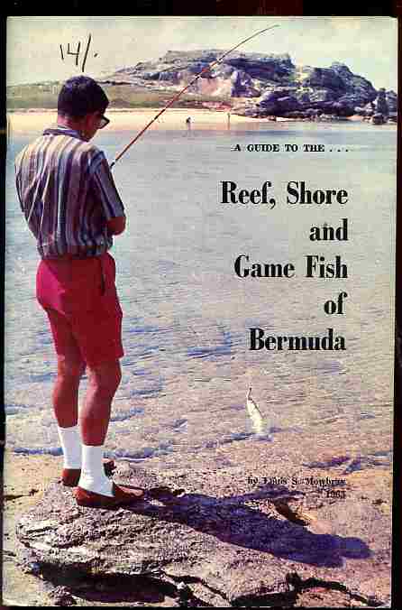 Image for A GUIDE TO THE REEF, SHORE AND GAME FISH OF BERMUDA