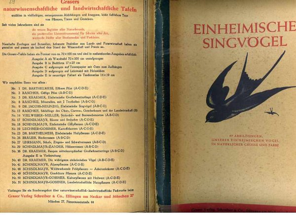 Image for EINHEIMISCHE SINGVGEL