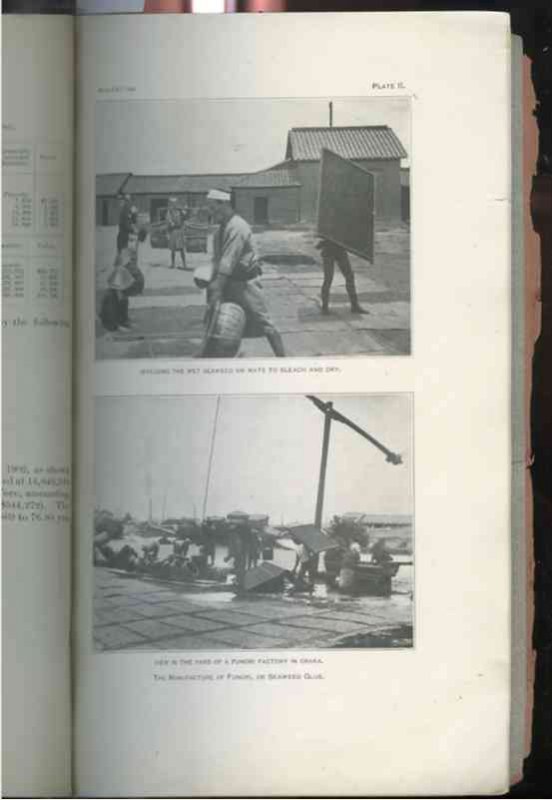 Image for THE SEAWEED INDUSTRIES IN JAPAN THE UTILIZATION OF THE SEAWEED IN THE UNITED STATES CAME