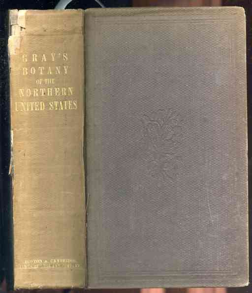 Image for Manual of the botany of the northern United States