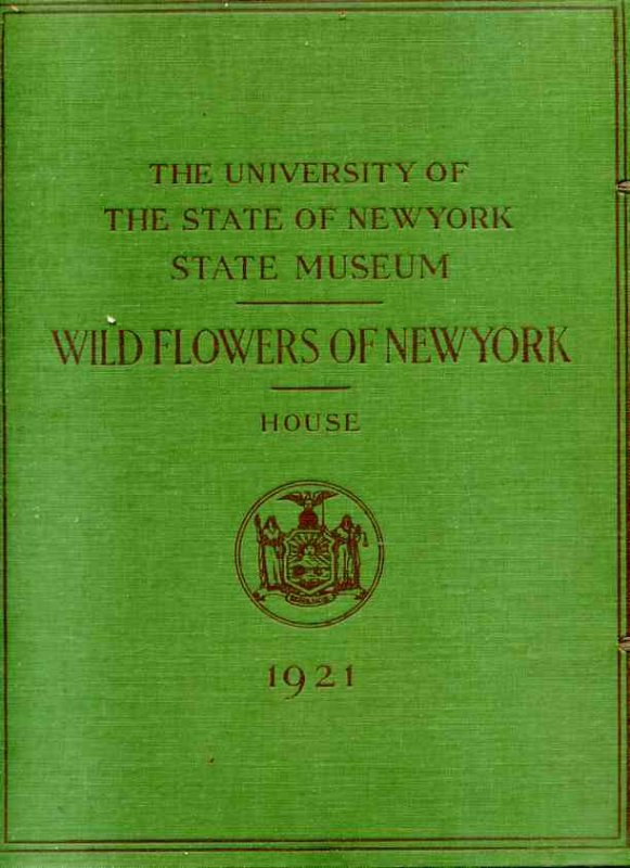Image for WILDFLOWERS IN NEW YORK From Memoir 15 Play to through to Memoir 15 Play to 63