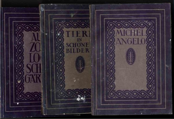 Image for MICHELANGELO, TIERE IN SCHONENE BILDERN; AUS ZOO LOGI SCHEN GARTEN 3 Vols of Photos