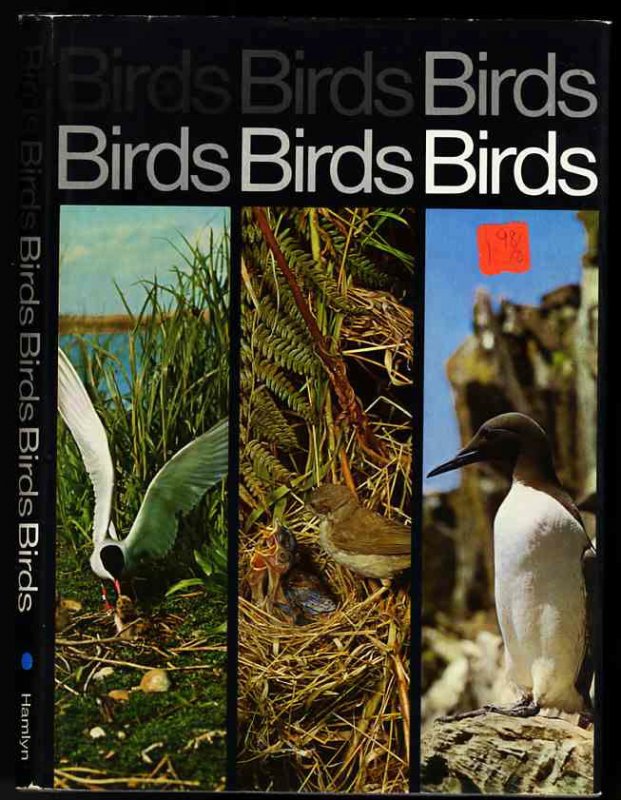 Image for BIRDS BIRDS BIRDS BIRDS BIRDS BIRDS BIRDS BIRDS BIRDS