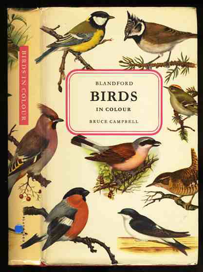 Image for BIRDS IN COLOR Revised