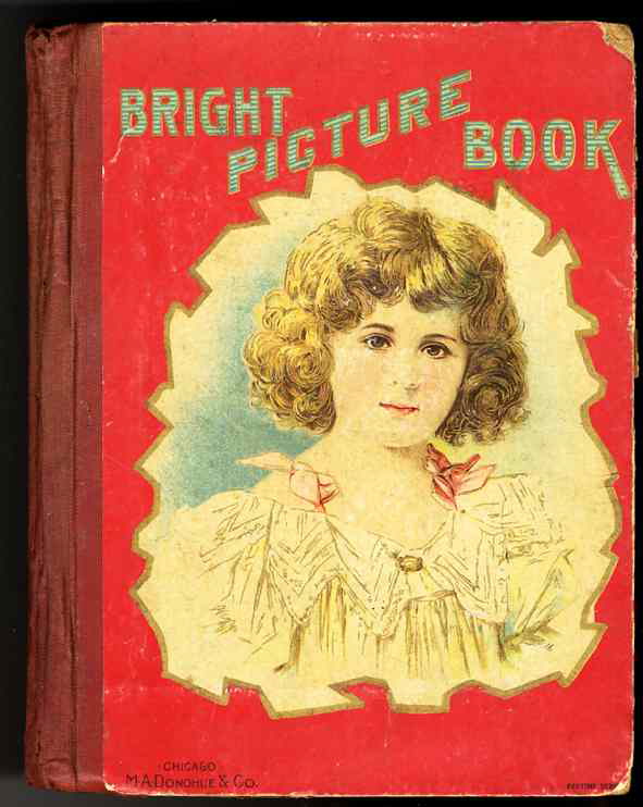 Image for BRIGHT PICTURE BOOK