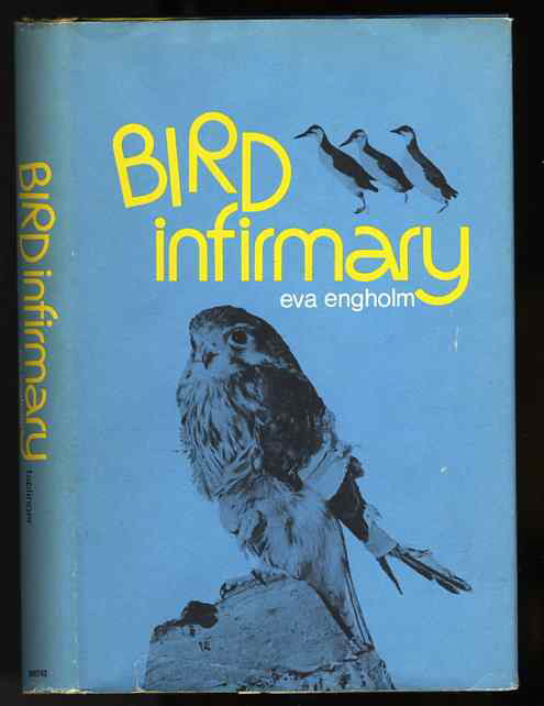 Image for BIRD INFIRMARY