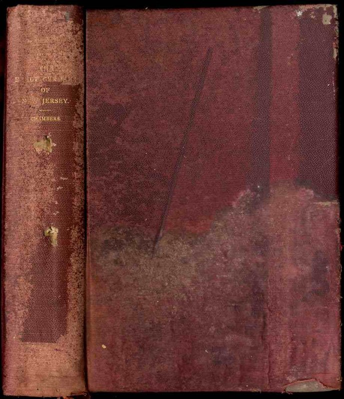 Image for THE EARLY GERMANS OF NEW JERSEY. THEIR HISTORY, CHURCHES AND GENEALOGIES.