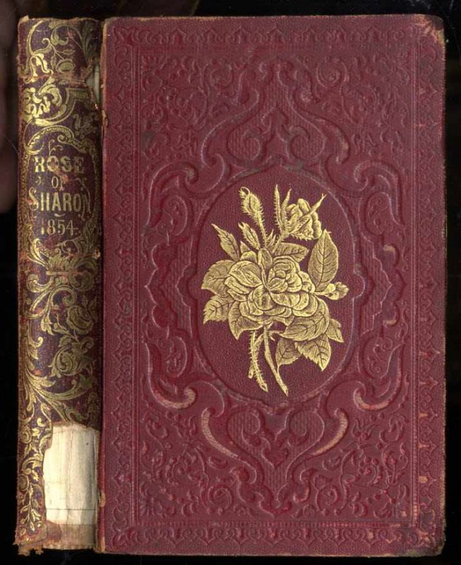 Image for THE ROSE OF SHARON 1854