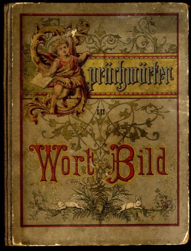 Image for SPRUCHWORTER IN WORT UND BILD