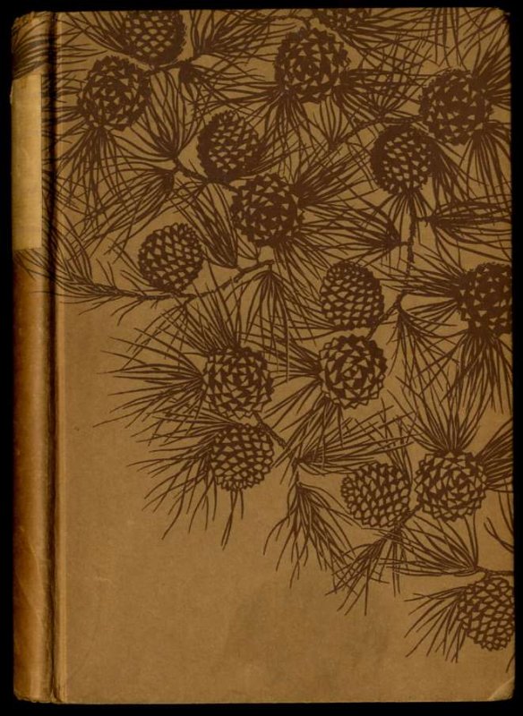 Image for PAUL BUNYAN: A LEGENDARY HERO OF THE NORTH WOODS: RHYMES AND ILLUSTRATIONS.