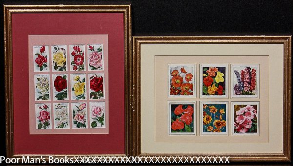 Image for WILL'S CIGARETTE CARDS FLOWERS 2 FRAMES