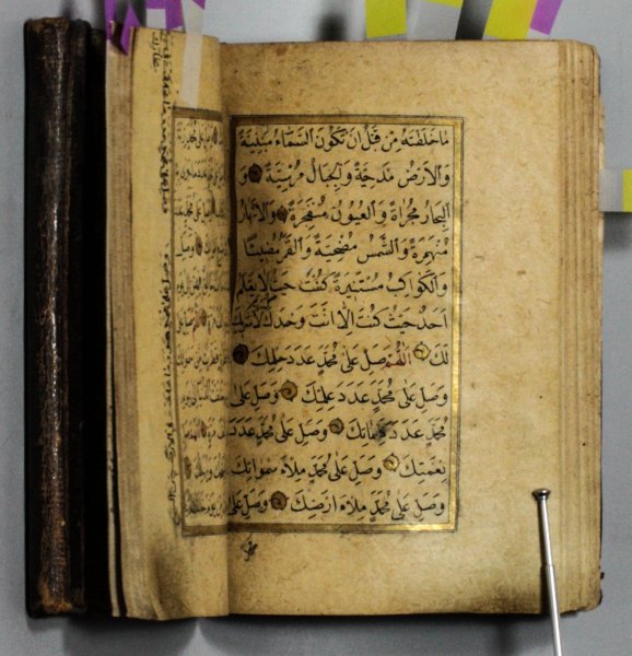 Thumbnail Image