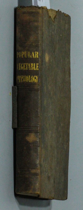 Image for A POPULAR TREATISE ON VEGETABLE PHYSIOLOGY; WITH NUMEROUS CUTS