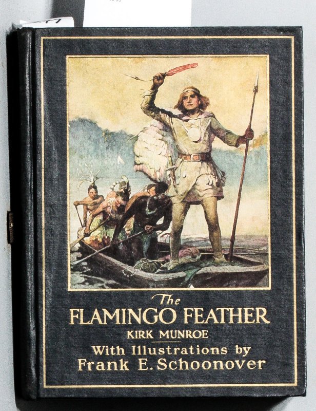 Image for THE FLAMINGO FEATHER