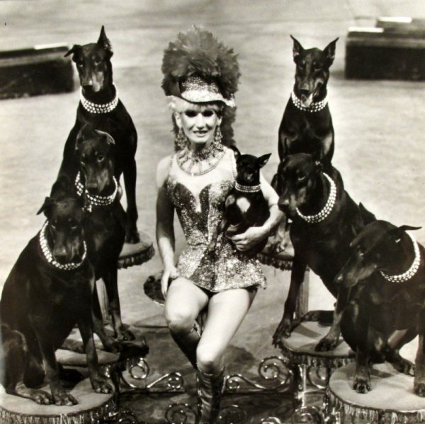 Image for LARGE LOT OF CIRCUS EPHEMERA - PHOTOS, EPHEMERA & BOOKS