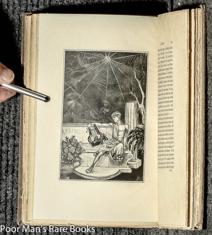 Thumbnail Image