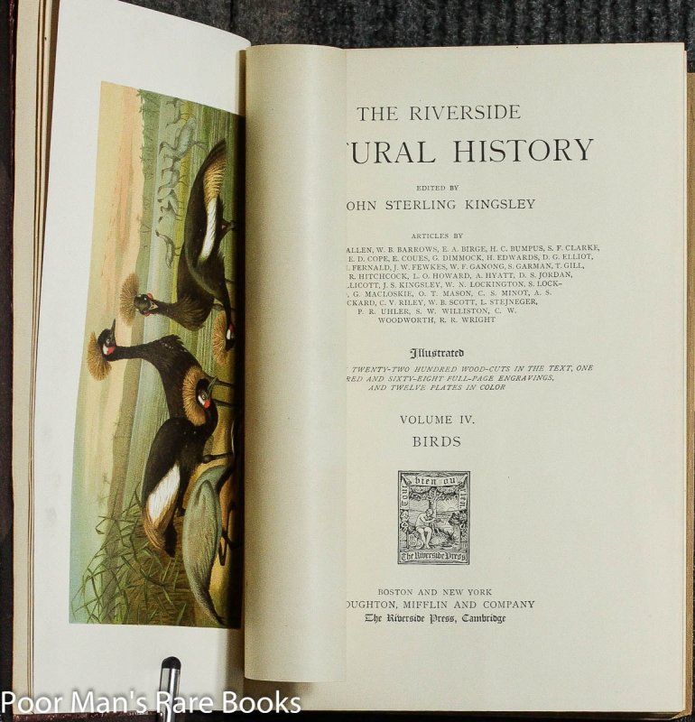 Image for The Riverside Natural History, Birds {vol 4}