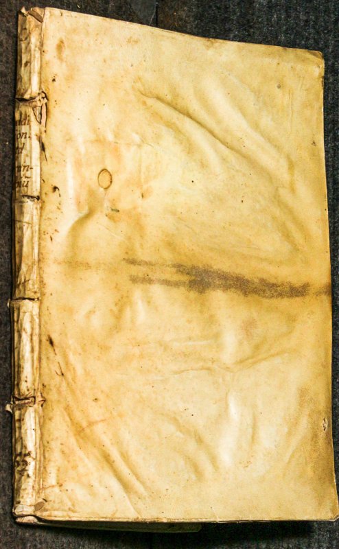 Image for 38857 Ad Decisiones Sacri Regij Consilij Neapolitani Vincentij De Franchis ...1625