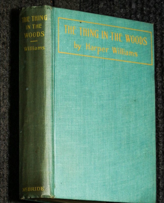 Image for The Thing In The Woods. Science Fiction: : Fantasy: : Ghosts 1924 Williams, Harper