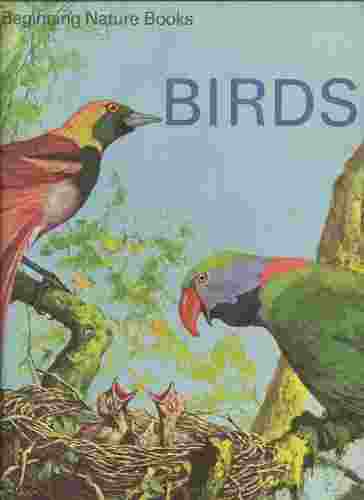 Image for BIRDS
