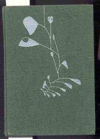 Image for AMERICAN ART OF THE 20TH CENTURY