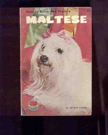 Image for HOW TO RAISE AND TRAIN A MALTESE